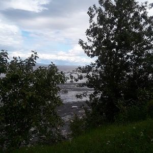 Meet your Posher, Shandalyn